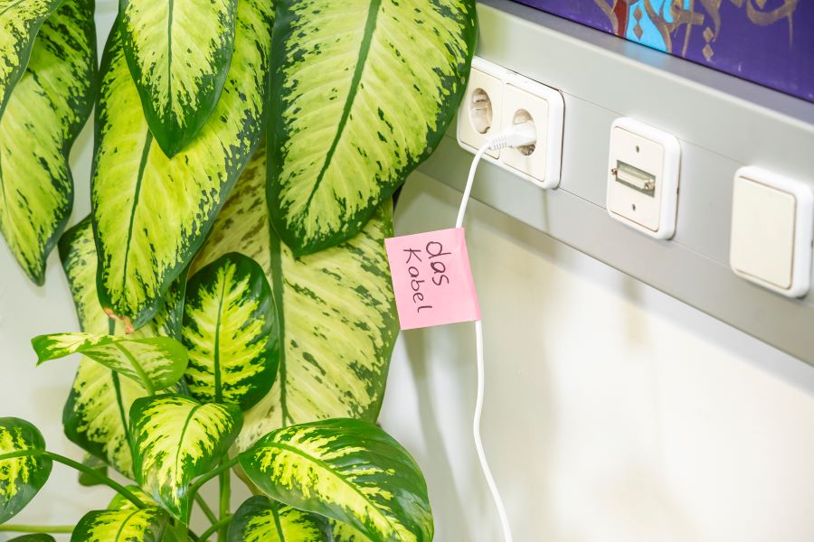 Einfacher Zugang zur deutschen Sprache: Im Klassenzimmer sind wichtige Gegenstände ... © Stadt Graz/Fischer Einfacher Zugang zur deutschen Sprache: Im Klassenzimmer sind wichtige Gegenstände ...