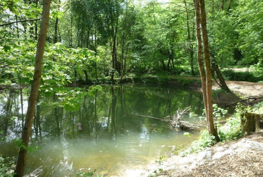 Bründelteiche © Stadt Graz/Grünraum&Gewässer Bründelteiche