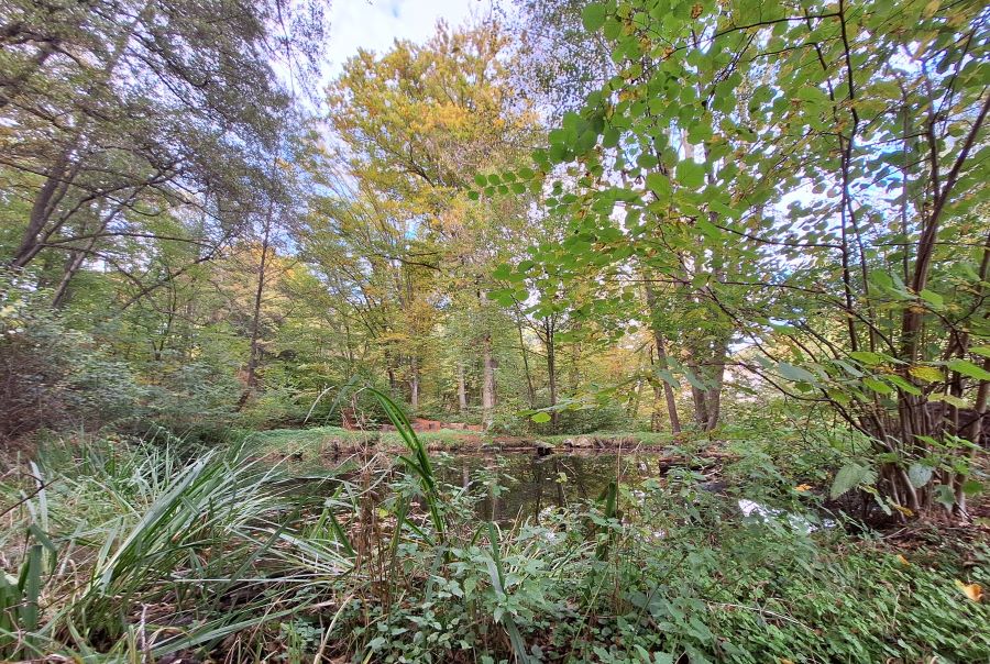 Eugenie-Schmiedl-Hain © Stadt Graz/Grünraum&Gewässer Eugenie-Schmiedl-Hain