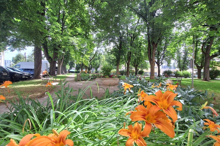 Helene-Serfecz-Platz © Stadt Graz/Grünraum&Gewässer Helene-Serfecz-Platz