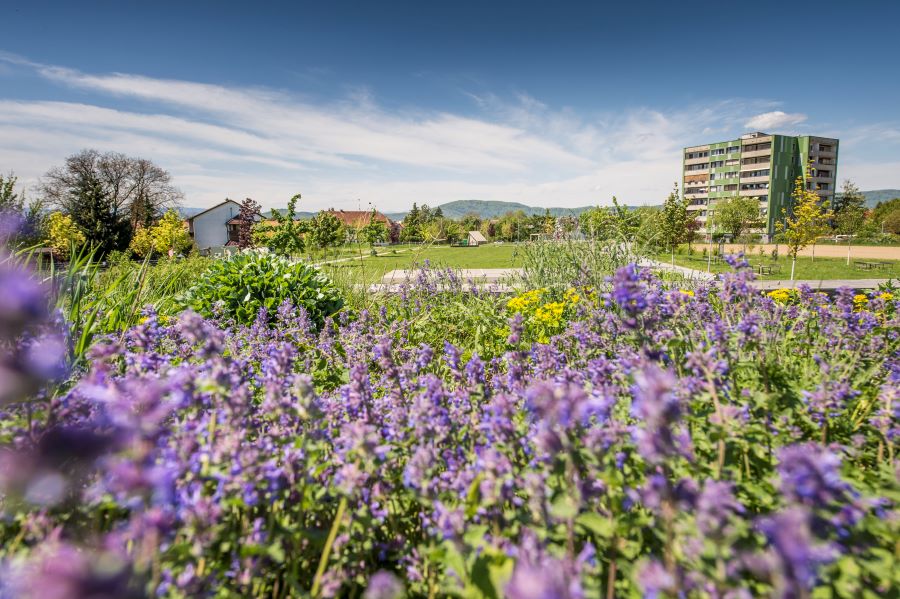 Liebenauer Park © Stadt Graz/Foto Fischer Liebenauer Park
