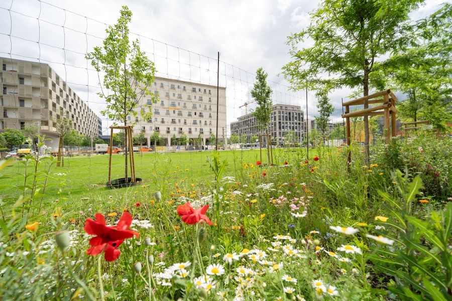 Nikolaus-Harnoncourt-Park © Stadt Graz/Grünraum&Gewässer Nikolaus-Harnoncourt-Park