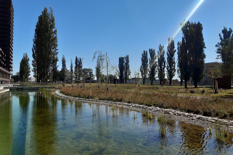 Reininghauspark © Stadt Graz/Grünraum&Gewässer Reininghauspark