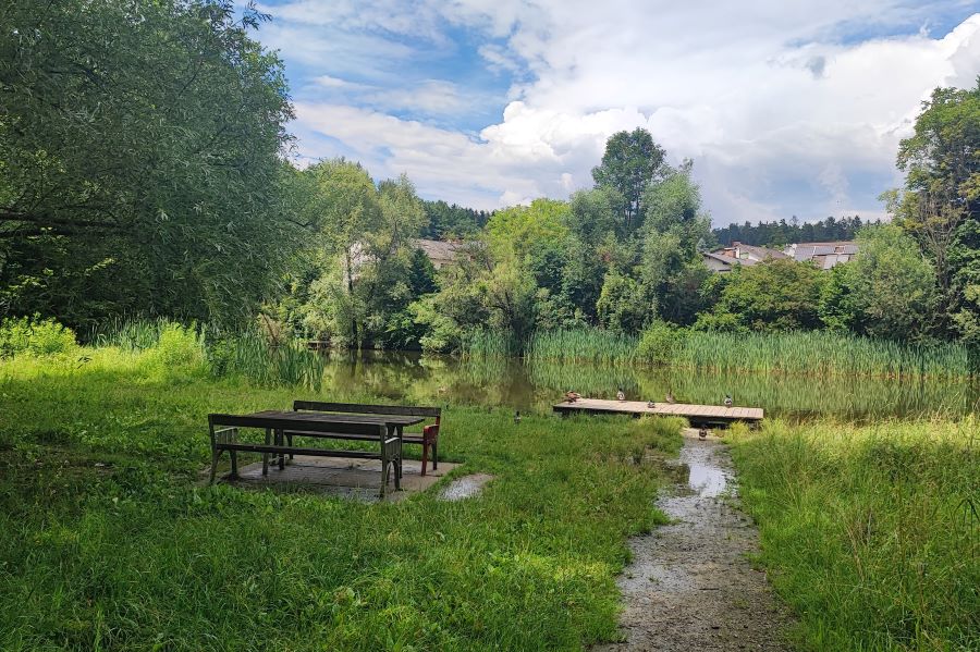 Rielteiche © Stadt Graz/Grünraum&Gewässer Rielteiche