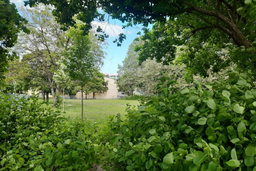 Hasenheide © Stadt Graz/Grünraum&Gewässer Hasenheide