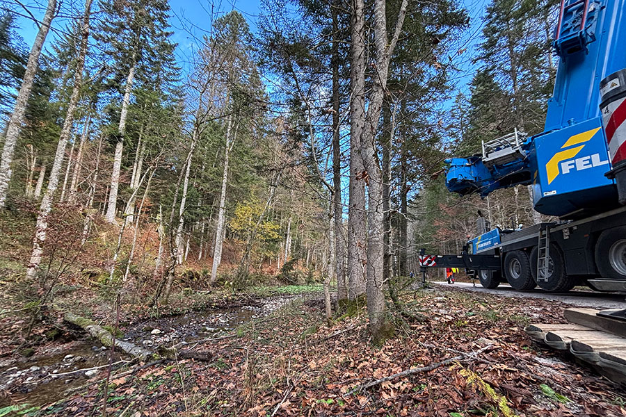 Der Ernteplatz der Fichte präsentiert sich als ein idyllisches Stück Erde.