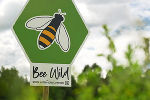 Bee-Wild