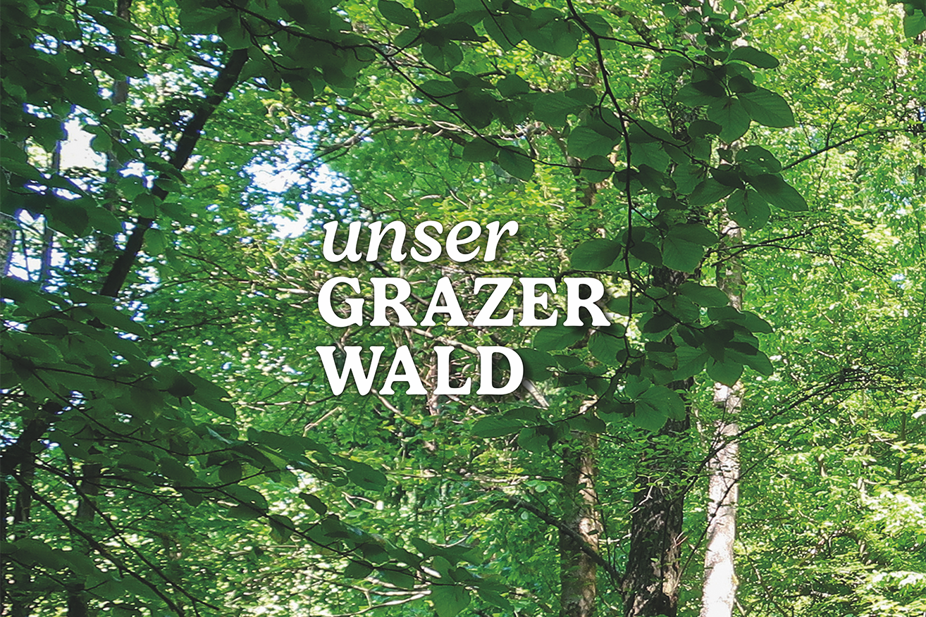 Impulse für nachhaltige Waldentwicklung