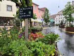 Graz blüht auf