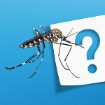 FAQs zur Bekämpfung mit sterilen Tigermücken © Adobe Stock/Robin FAQs zur Bekämpfung mit sterilen Tigermücken