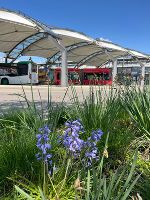 XVII Puntigam © Foto: Carina Spielberger XVII Puntigam