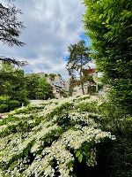 VIII St. Peter © Foto: Carina Spielberger VIII St. Peter