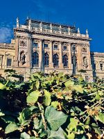 III Geidorf © Foto: Carina Spielberger III Geidorf