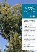 Plakat (Ver-)Führung © achtzigzehn Plakat (Ver-)Führung