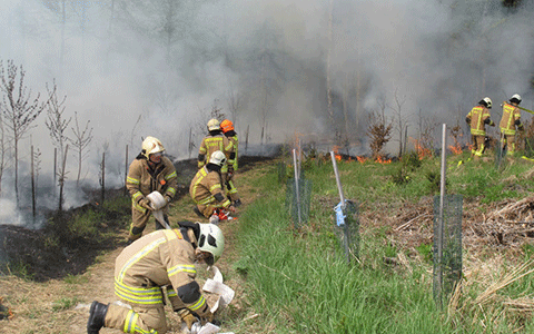 Waldbrandübung am Buchkogel