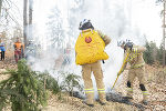 Die Feuerwehr bei der Bekämpfung der (zu Übungszwecken selbst gelegten) Brandherde am Buchkogel. © Stadt Graz/Foto Fischer Die Feuerwehr bei der Bekämpfung der (zu Übungszwecken selbst gelegten) Brandherde am Buchkogel.