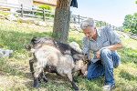 Der Lustbühel ist für Stadtrat Manfred Eber ein Sommer-Tipp. © Stadt Graz/Fischer Der Lustbühel ist für Stadtrat Manfred Eber ein Sommer-Tipp.