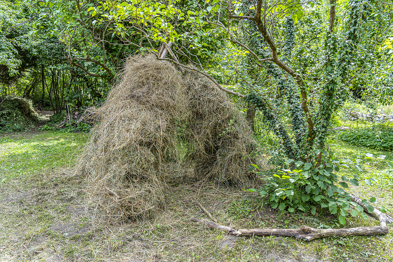 Viele Schulklassen nutzen die Möglichkeit eines Workshops im Garten der Artenvielfalt. © Stadt Graz/Fischer Viele Schulklassen nutzen die Möglichkeit eines Workshops im Garten der Artenvielfalt.
